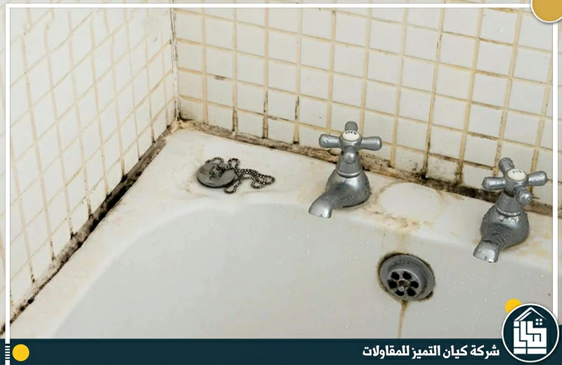 ارخص شركة عزل حمامات بالرياض