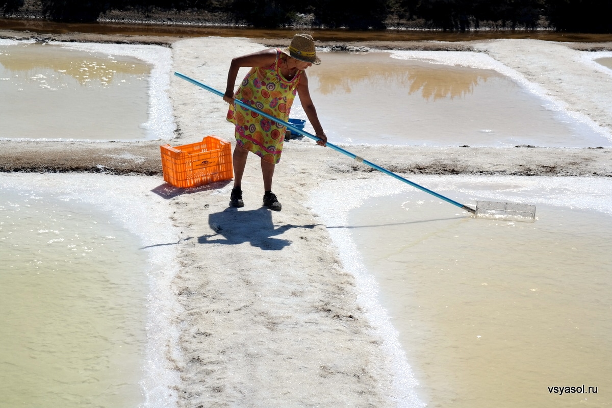 شركة عزل أسطح بأبها