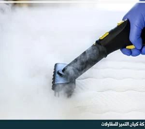 شركة تنظيف بالرياض