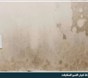 شركة معالجة تشققات الجدران بالرياض