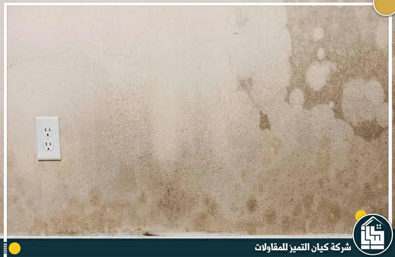 شركة معالجة تشققات الجدران بالرياض