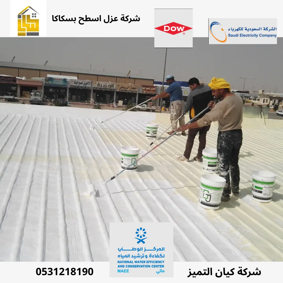 شركة عزل اسطح بسكاكا